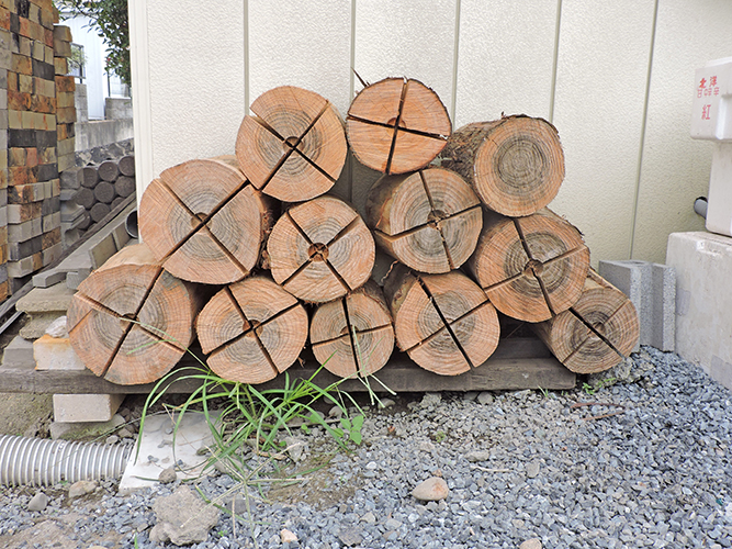 スウェーデントーチ